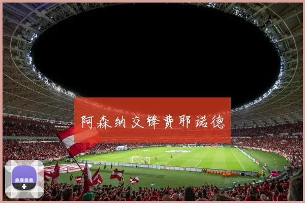 阿森纳交锋费耶诺德