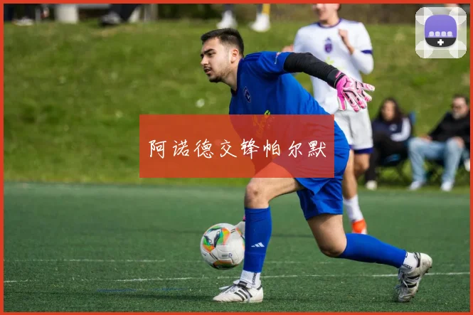 阿诺德交锋帕尔默