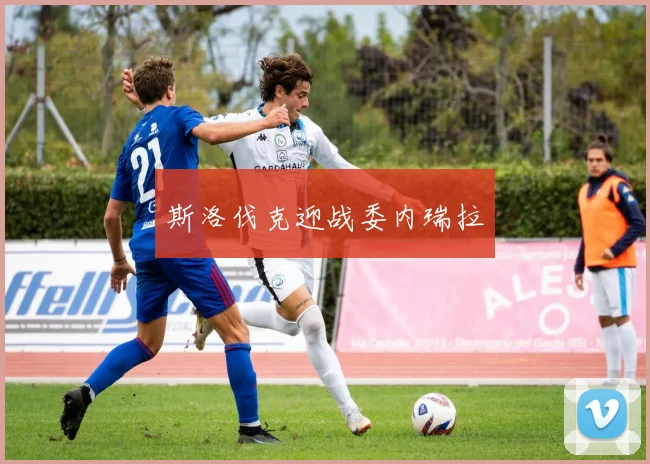 斯洛伐克迎战委内瑞拉