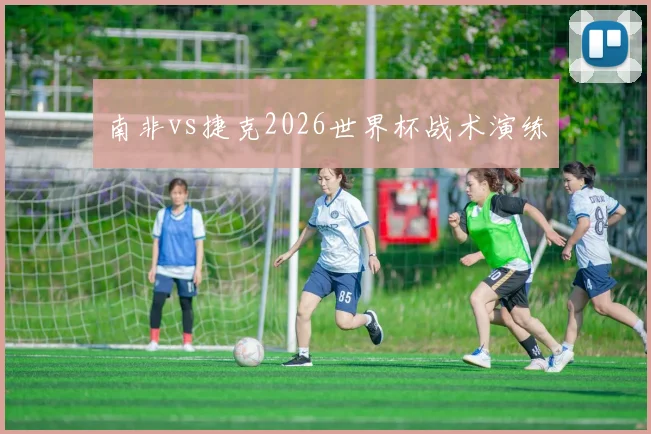 南非vs捷克2026世界杯战术演练
