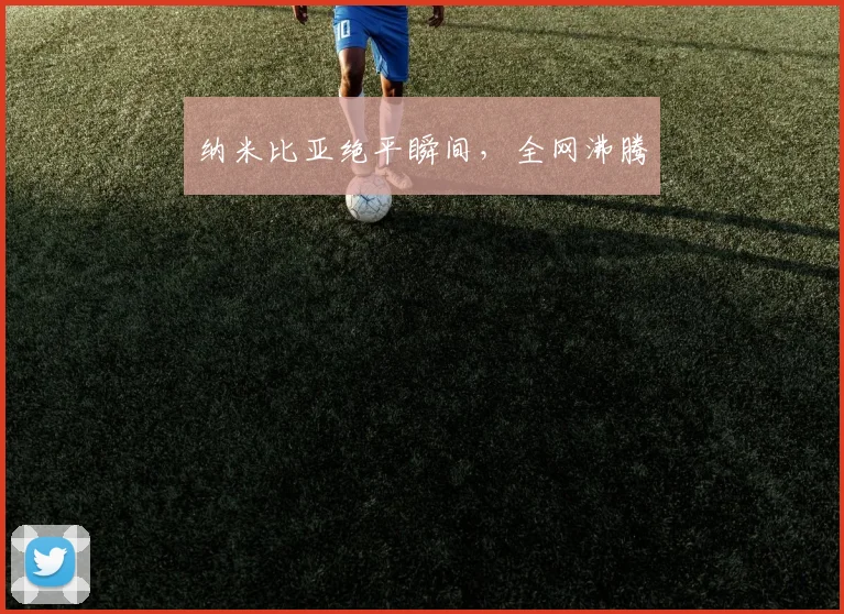 纳米比亚绝平瞬间，全网沸腾