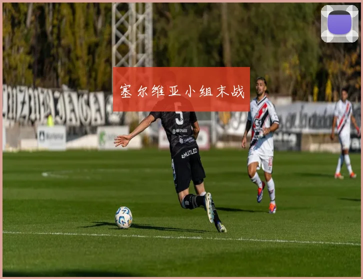 塞尔维亚小组末战