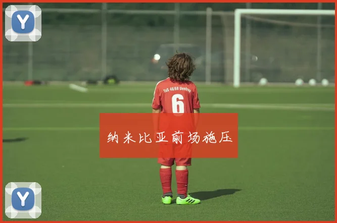 纳米比亚前场施压