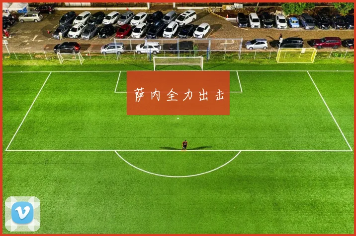 萨内全力出击