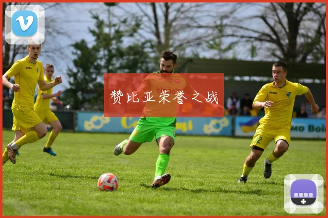 赞比亚荣誉之战