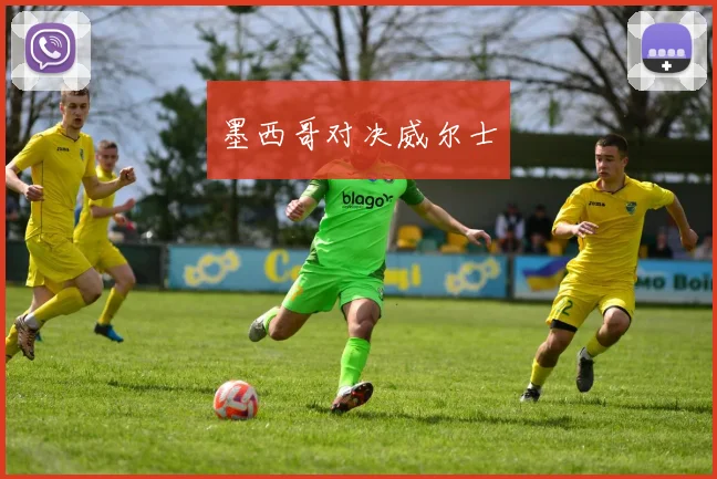 墨西哥对决威尔士