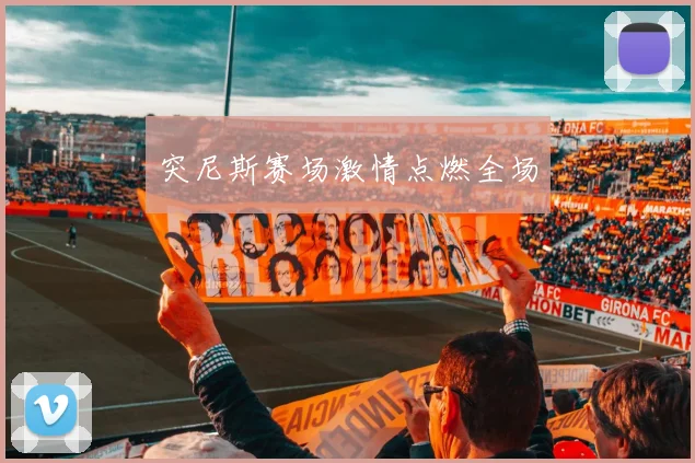 突尼斯赛场激情点燃全场