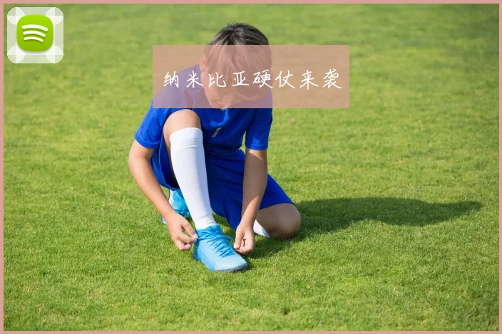 纳米比亚硬仗来袭