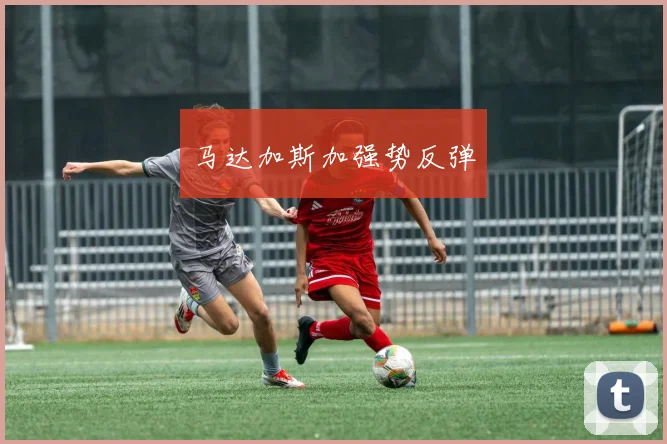 马达加斯加强势反弹