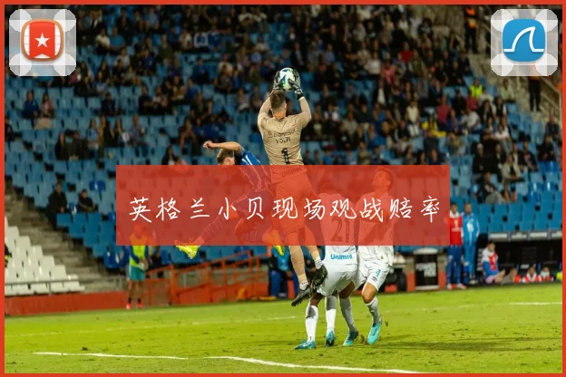 英格兰小贝现场观战赔率
