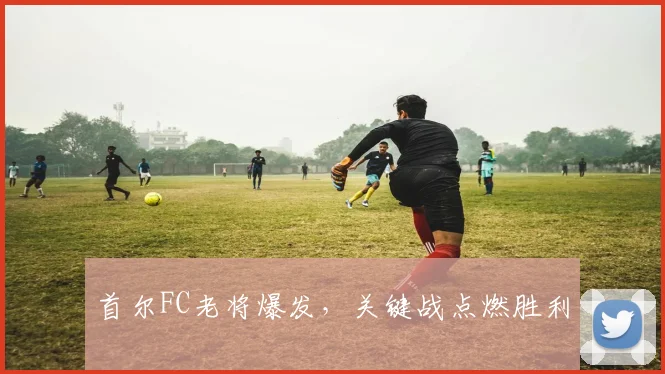 首尔FC老将爆发，关键战点燃胜利