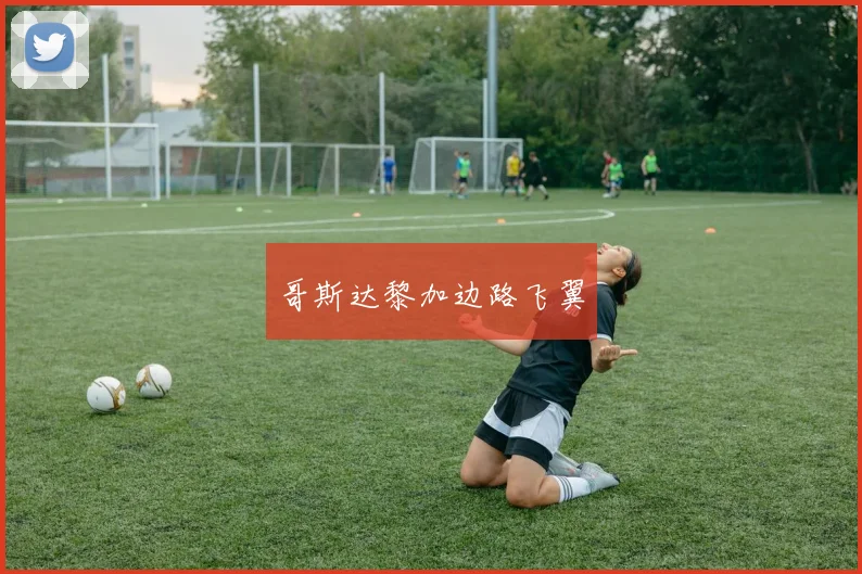 哥斯达黎加边路飞翼