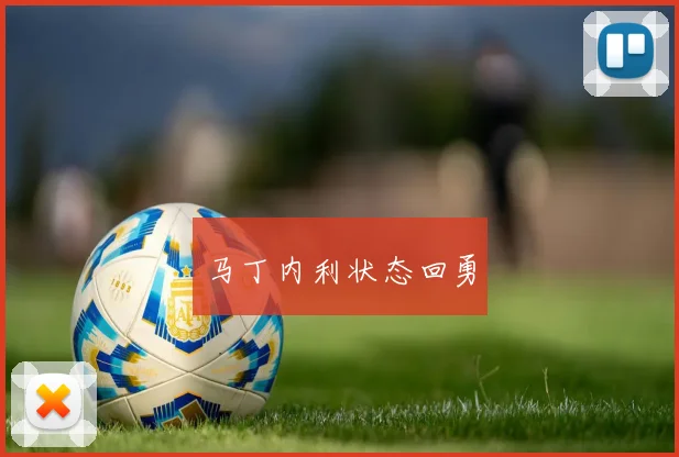 马丁内利状态回勇
