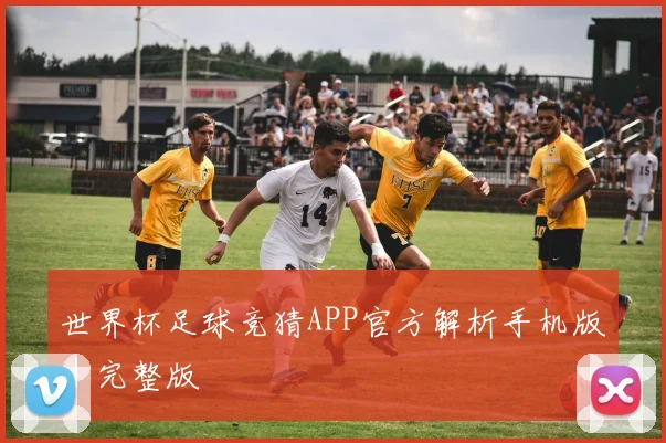 世界杯足球竞猜APP官方解析手机版｜完整版