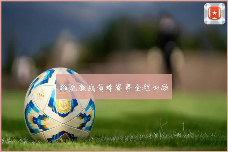 雄鹿激战黄蜂赛事全程回顾