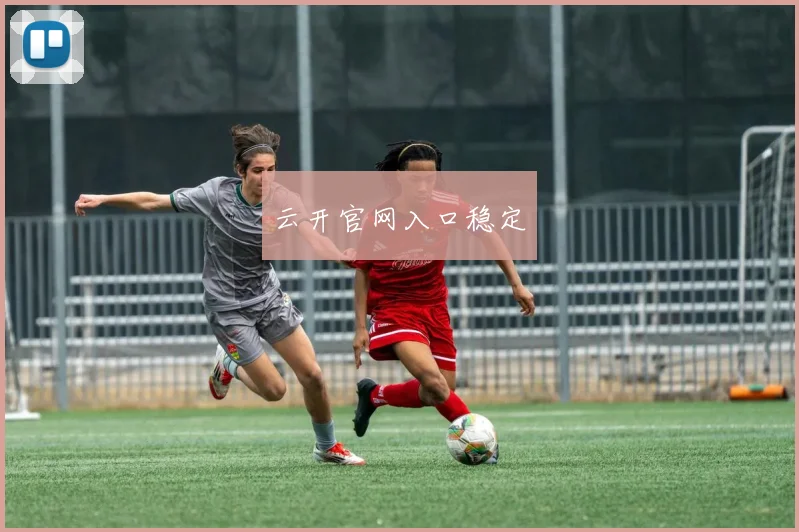 云开官网入口稳定