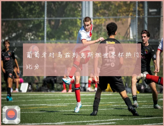 葡萄牙对乌兹别克斯坦世界杯热门比分