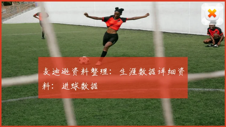 麦迪逊资料整理：生涯数据详细资料：进球数据