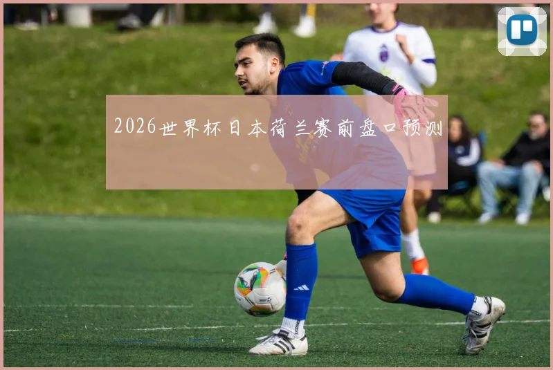 2026世界杯日本荷兰赛前盘口预测
