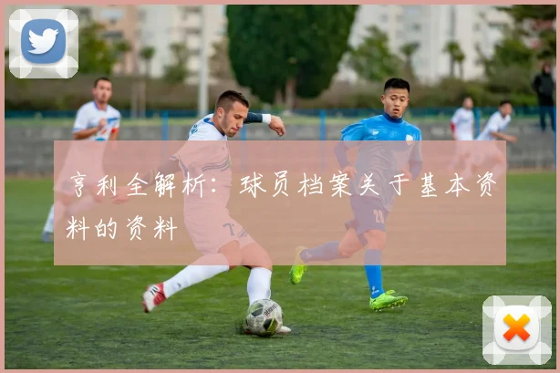 亨利全解析:球员档案关于基本资料的资料