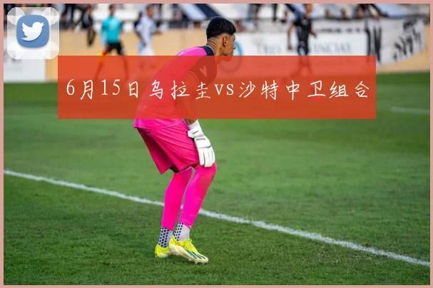 6月15日乌拉圭vs沙特中卫组合