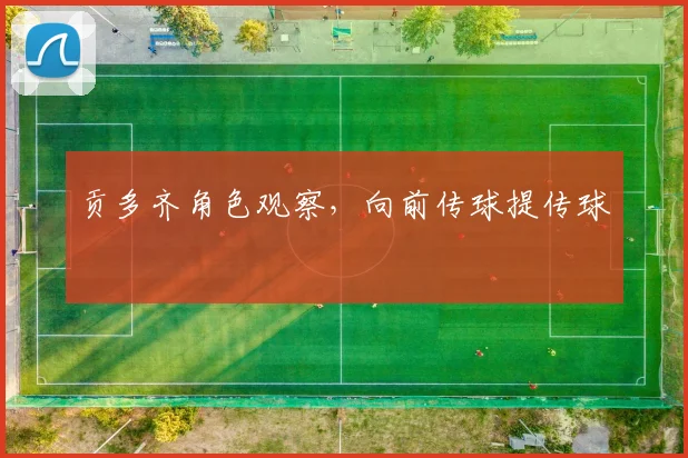 贡多齐角色观察，向前传球提传球